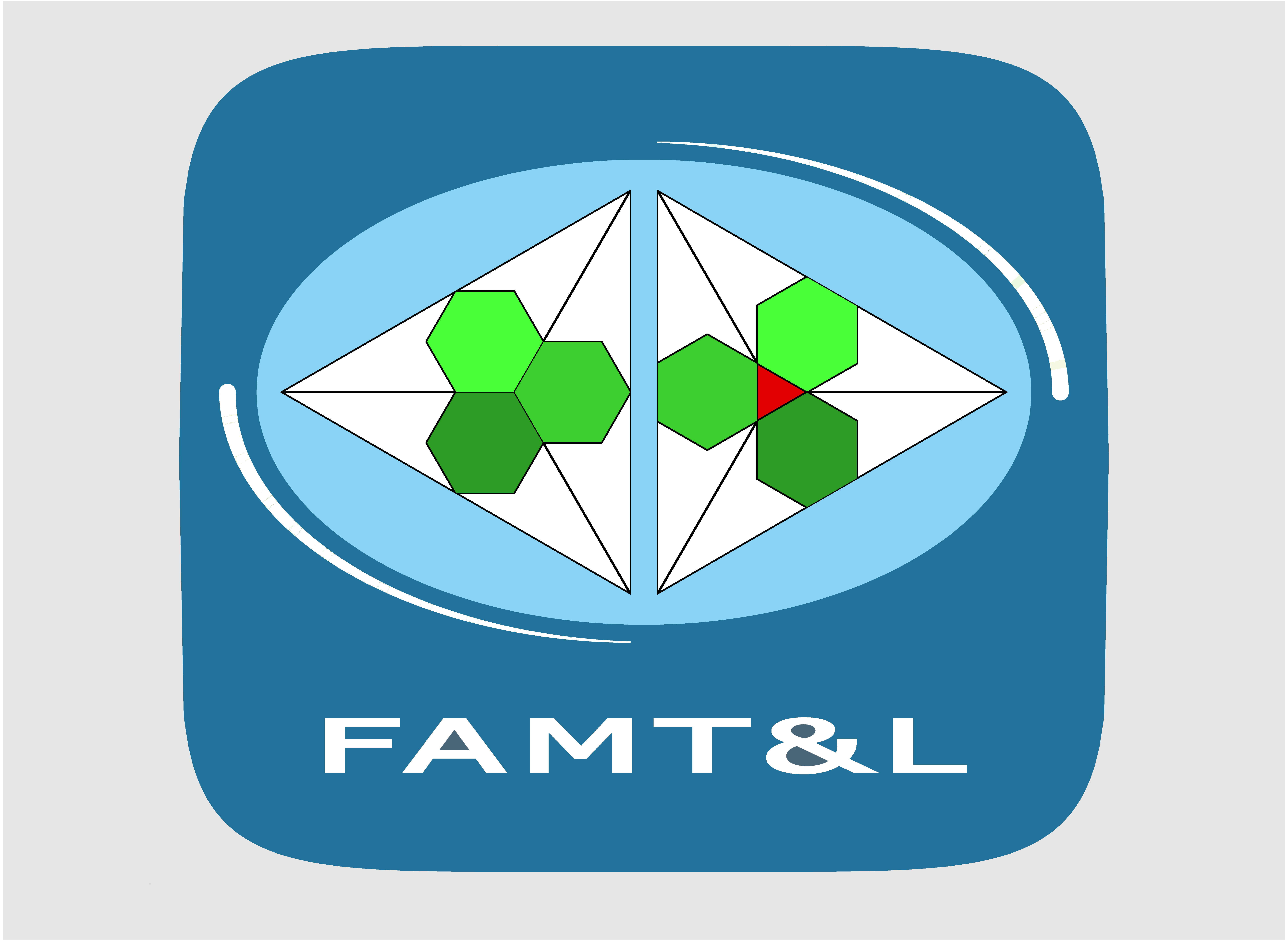 FAMTL L'évaluation formative en situation de classe Cover Image