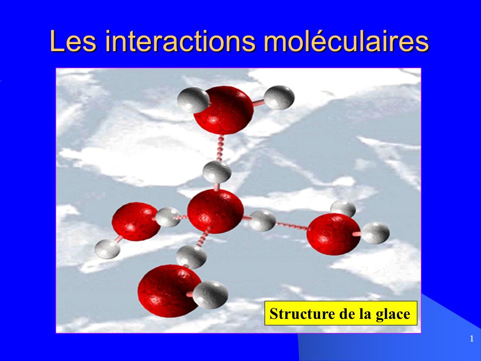 CS101 Les interactions moleculaires Cover Image